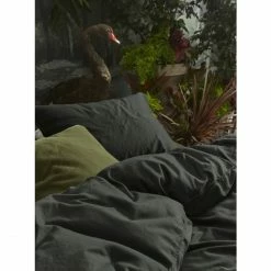 Schlussverkauf ? ESSENZA HOME Essenza Minte Satin-Bettwäsche - 135x200 / 80x80 Cm - Anthracite ? -ESSENZA HOME SHOP unnamed file 1646