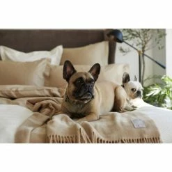 Brandneu ? Lexington Hotel Satin Kopfkissen-Bezug - 40x80 Cm - Light Beige ? -ESSENZA HOME SHOP unnamed file 1720