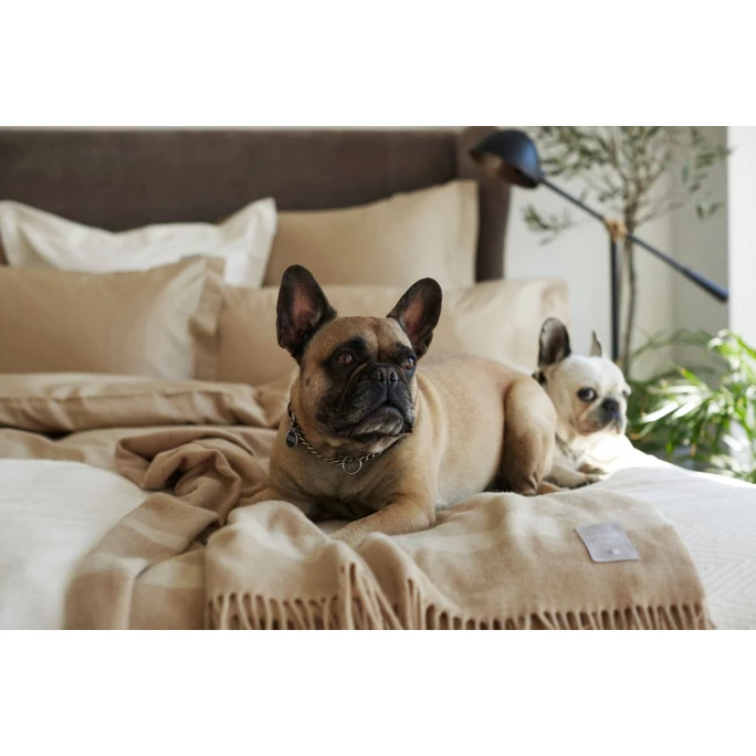 Aktion ? Lexington Hotel Satin Bettdecken-Bezug - 155x220 Cm - Light Beige ✨ 4 Aktion ? Lexington Hotel Satin Bettdecken-Bezug - 155x220 Cm - Light Beige ✨ – Bild 4